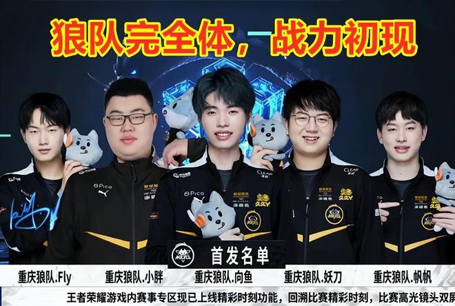 龙的长臂防 龙的长臂防